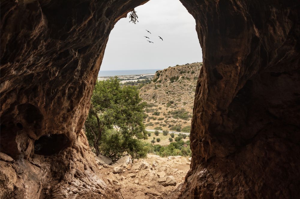 Photograph by klara Neikov