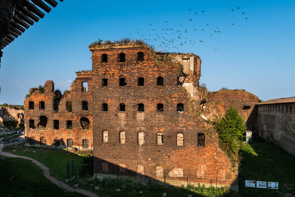 Photograph by Евгений Моляшов