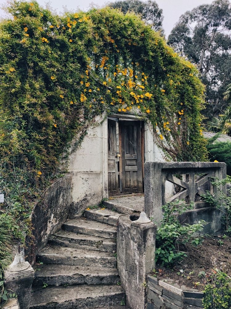 Photograph by Светлана Рогачева