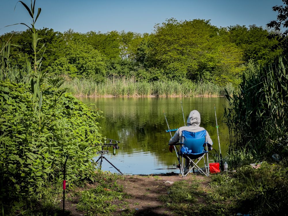 Фотография автора Вячеслав Александров