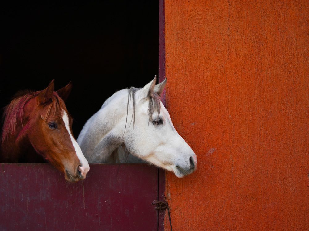 Photograph by Hussain Alqattan