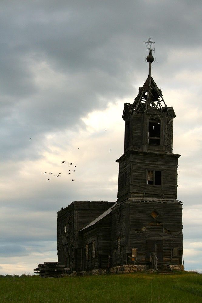 Фотография автора Татьяна Шебаршенко