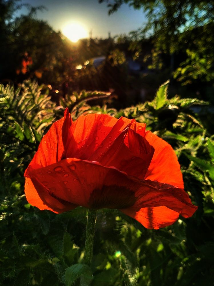 На закате дня