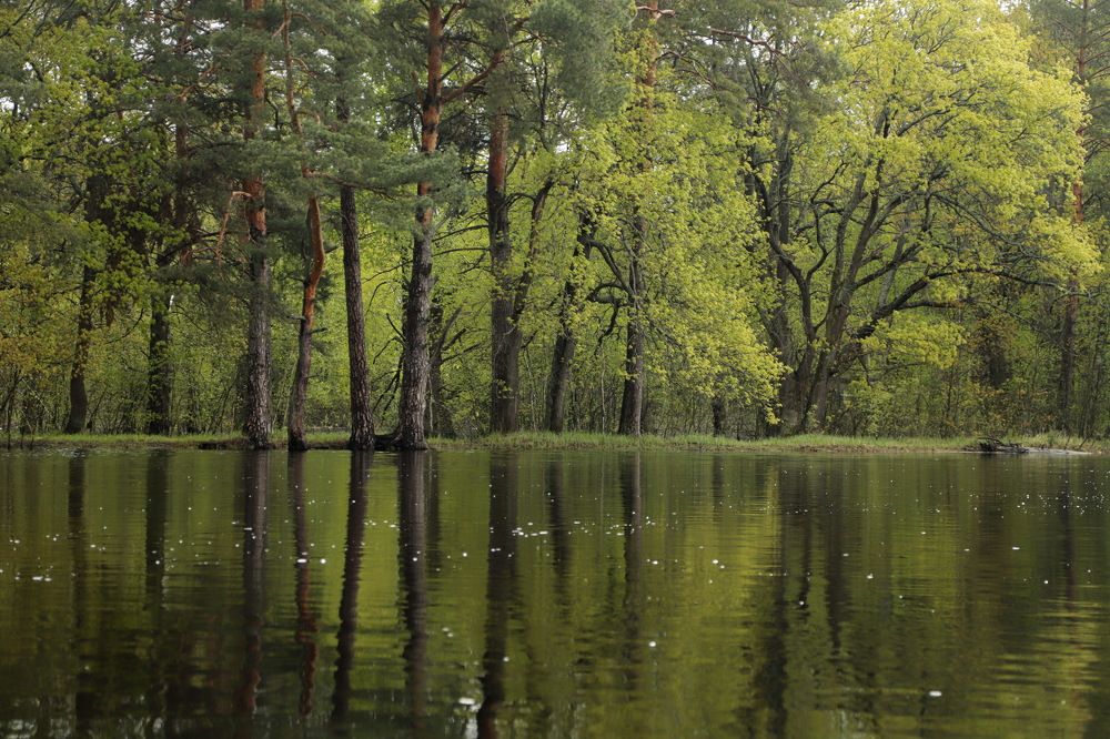 Photograph by Лада Денисова