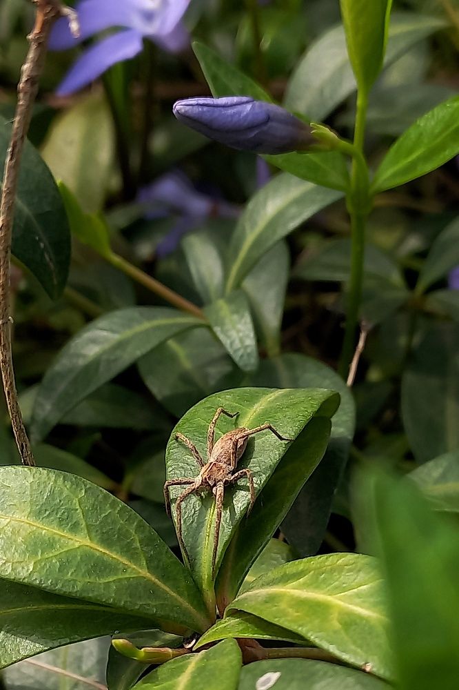 Photograph by Katerina Akalifa