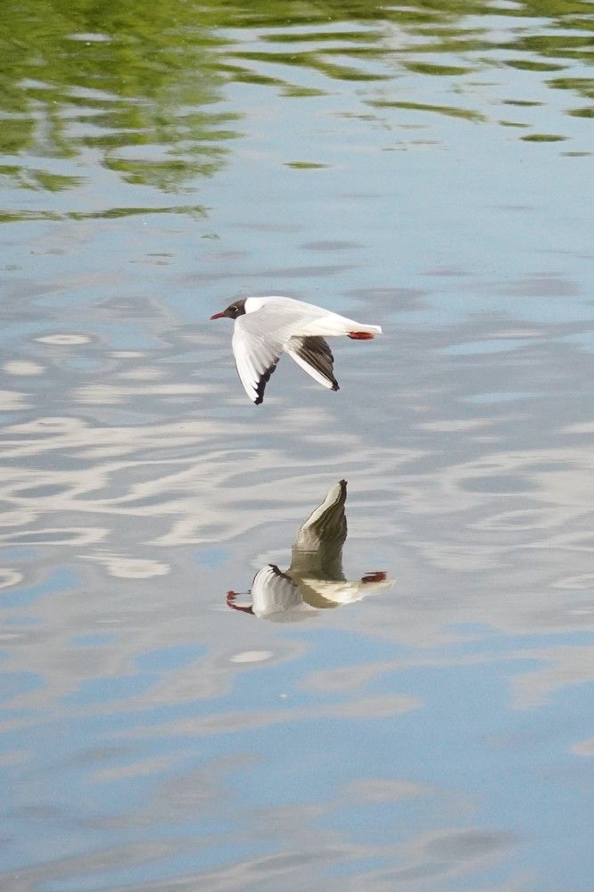 Photograph by Алфия Бугакова