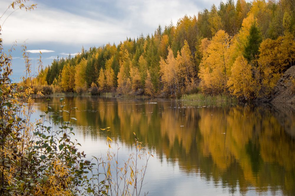 Photograph by Михаил Мархинин