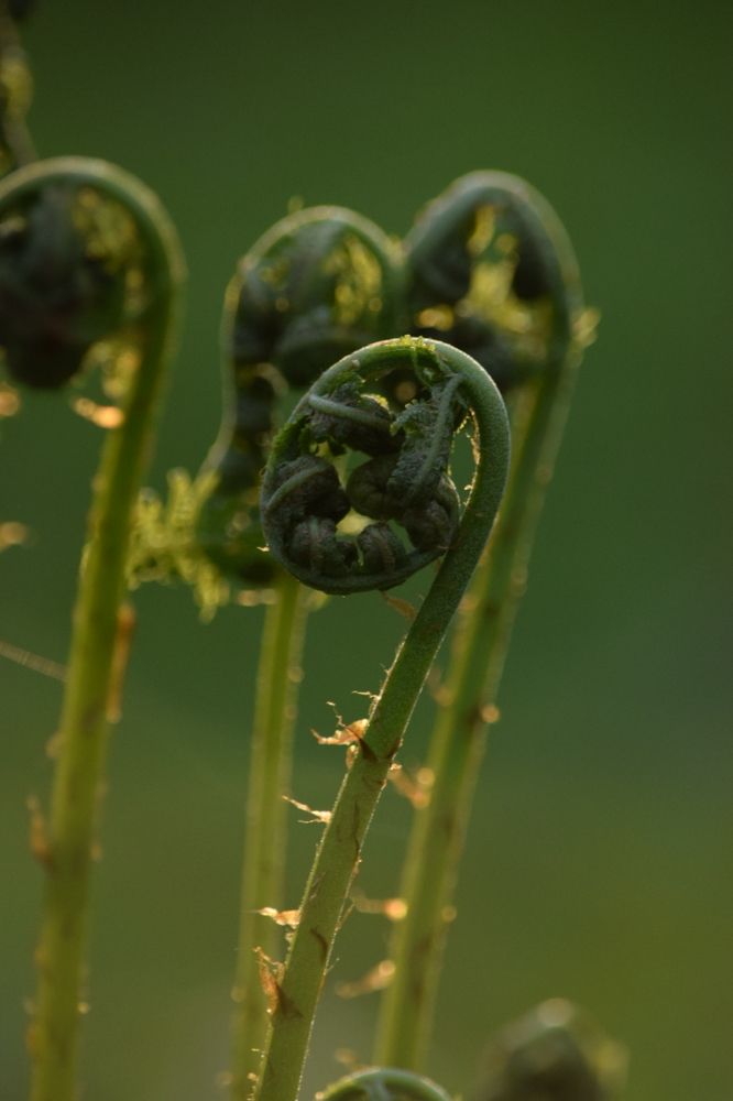 Photograph by Ольга Каминская