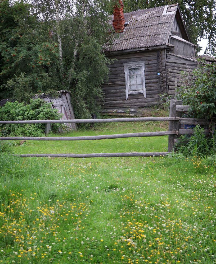 Photograph by Mariy Ogryzkova