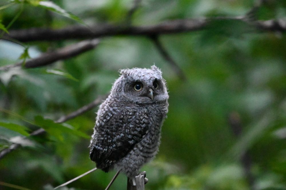 Photograph by Tyler Dewees