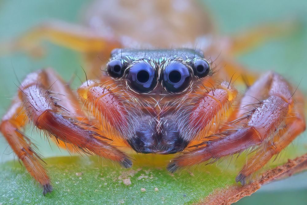 Photograph by Li Chen-You