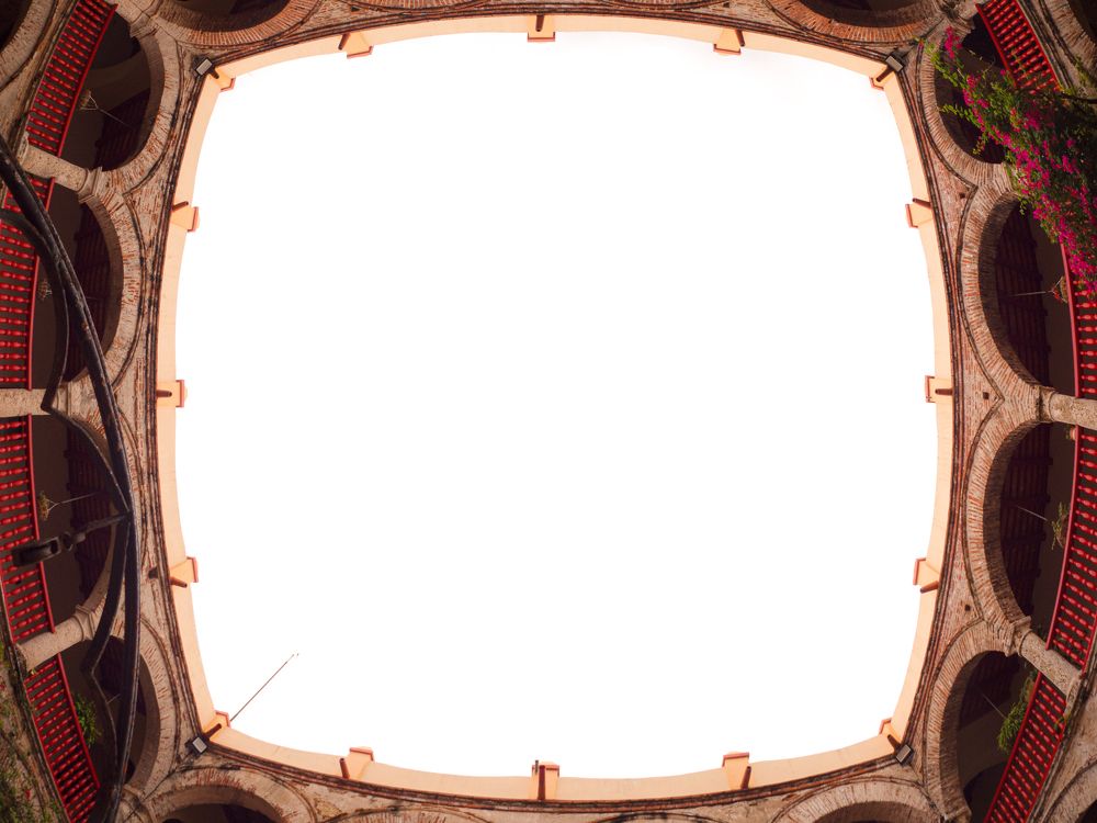 Фотография автора Camilo Rojas