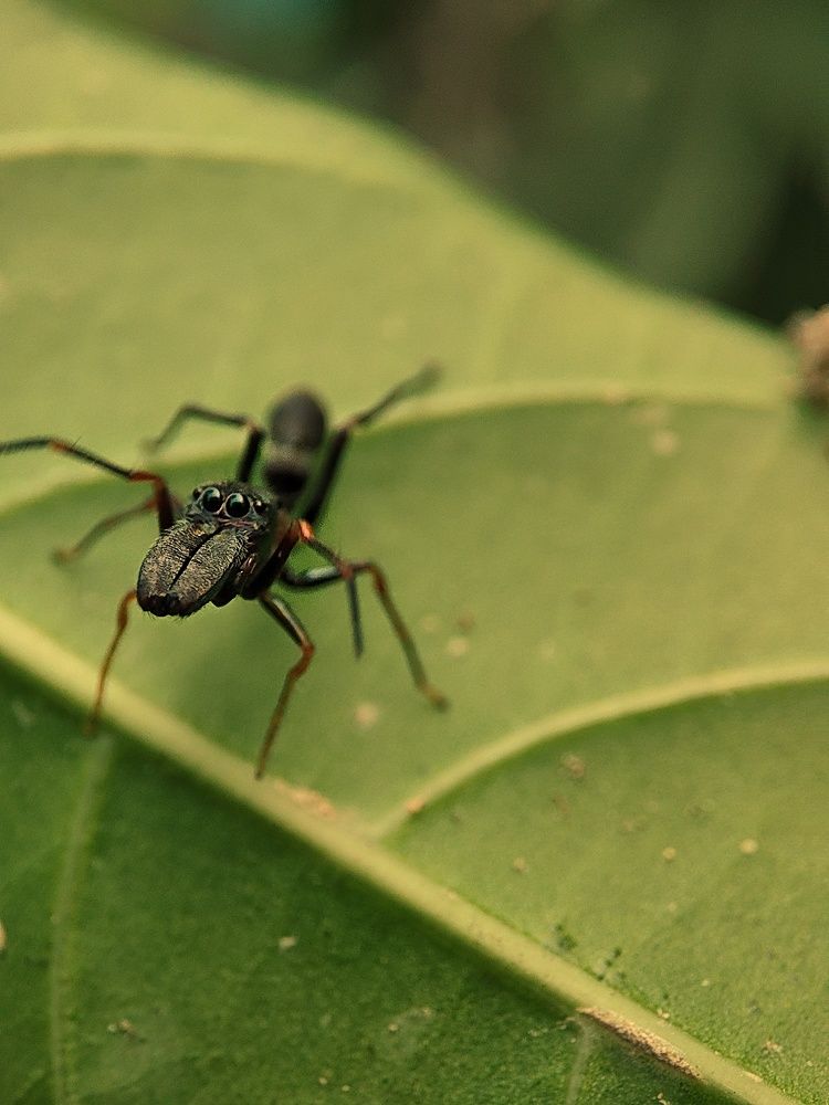 Photograph by Nishant Raj