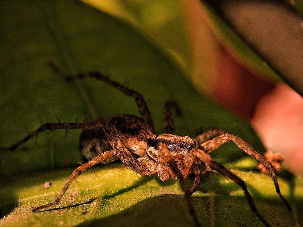 Photograph by Nishant Raj