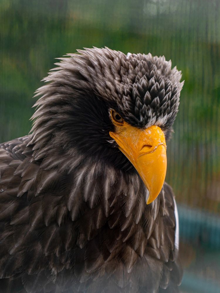 Photograph by Марина