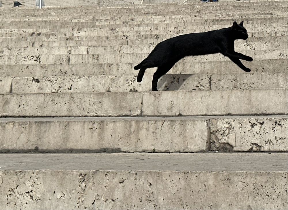 Photograph by Рита