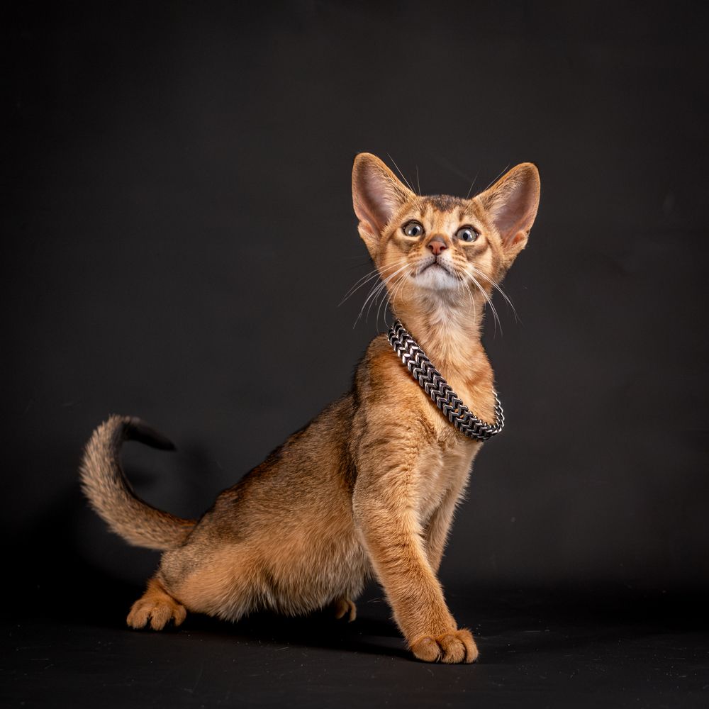 Photograph by Dina Damotseva