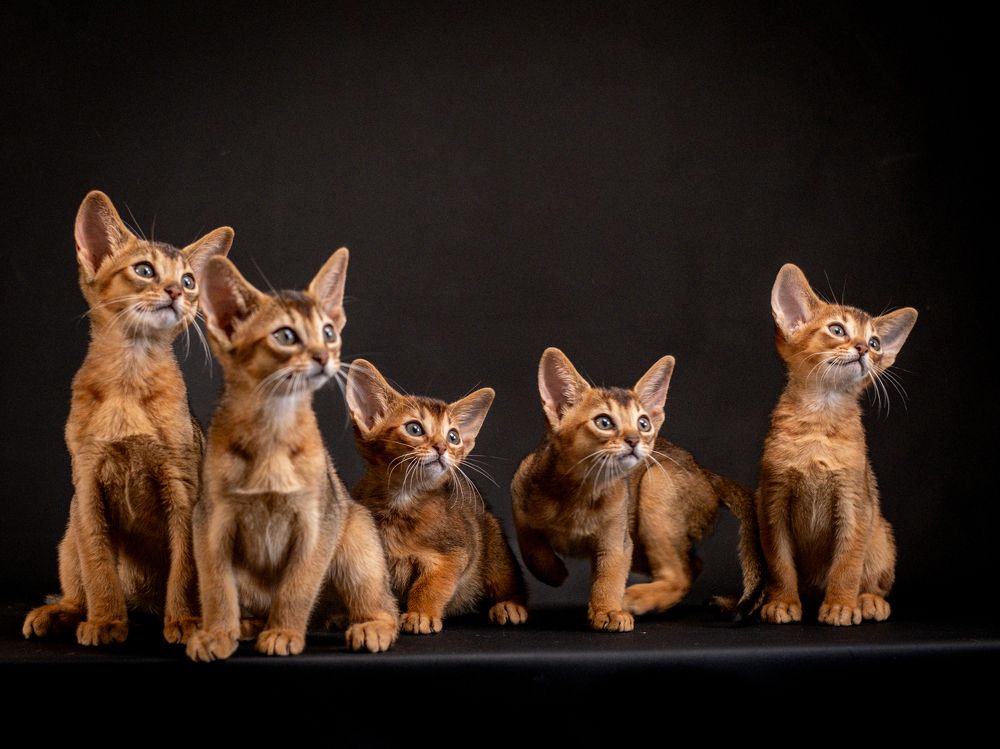 Photograph by Dina Damotseva