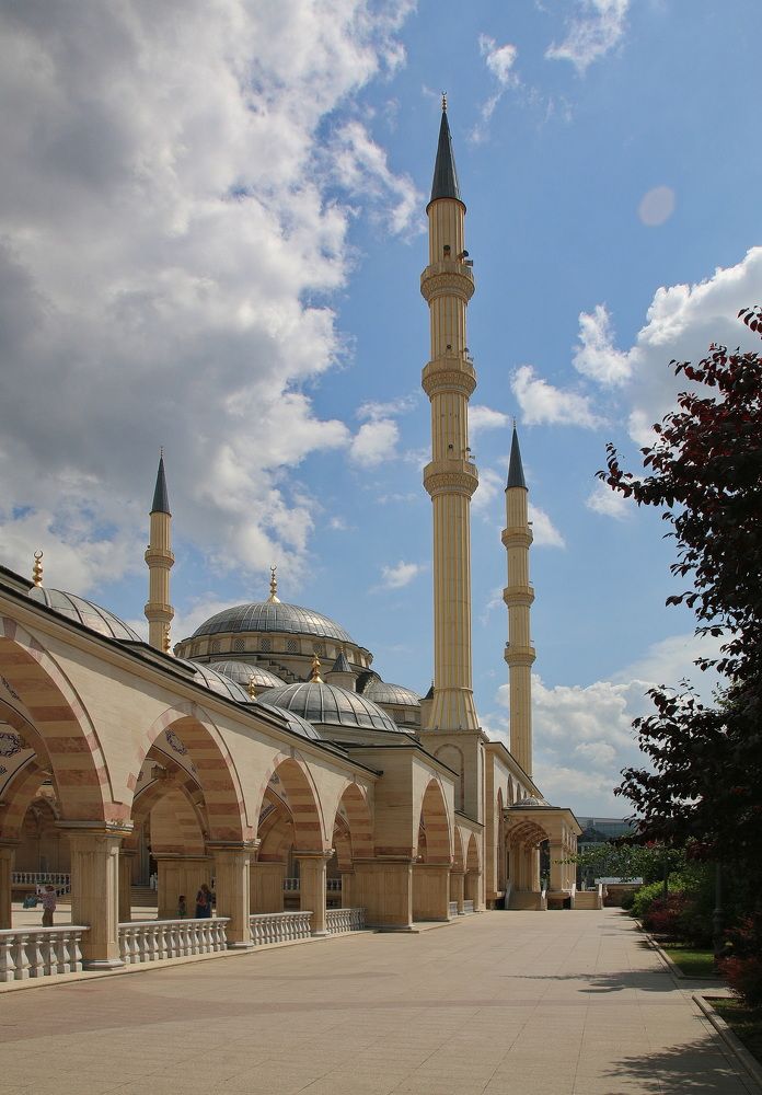 Фотография автора АЛЕКСАНДР ЦЫГЕЛЬНЮК