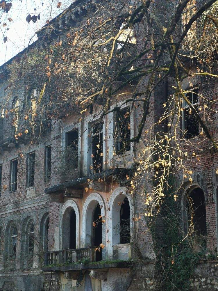 Photograph by Анастасия Бреева