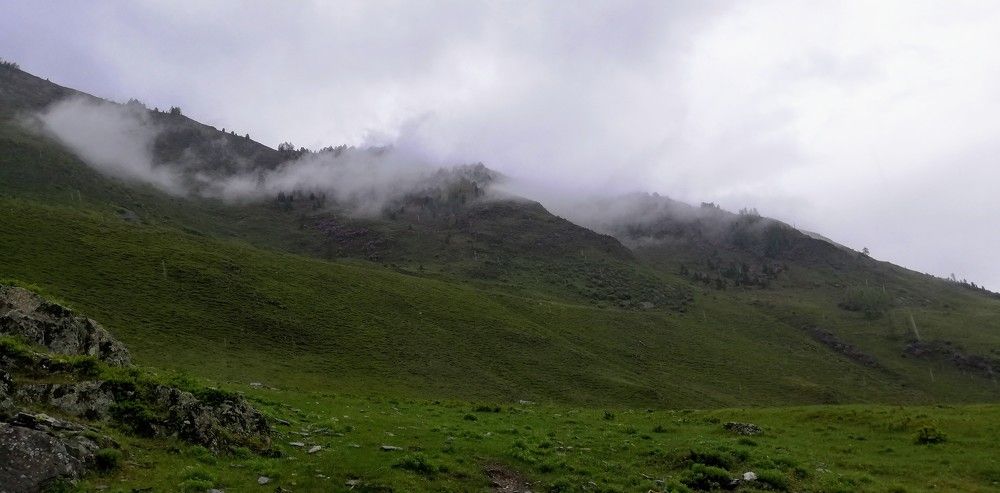 Photograph by Лариса Неудачина