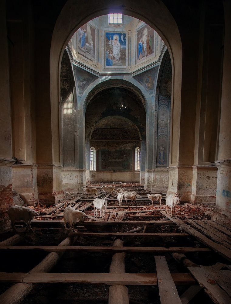 Photograph by Андрей Родионов