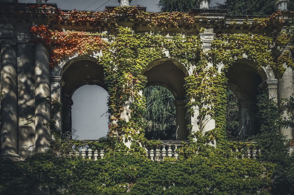 Заброшенный санаторий им С. Орджоникидзе.