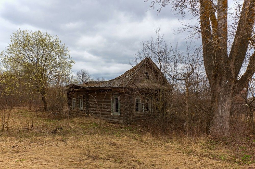 Photograph by Александр Литвинов