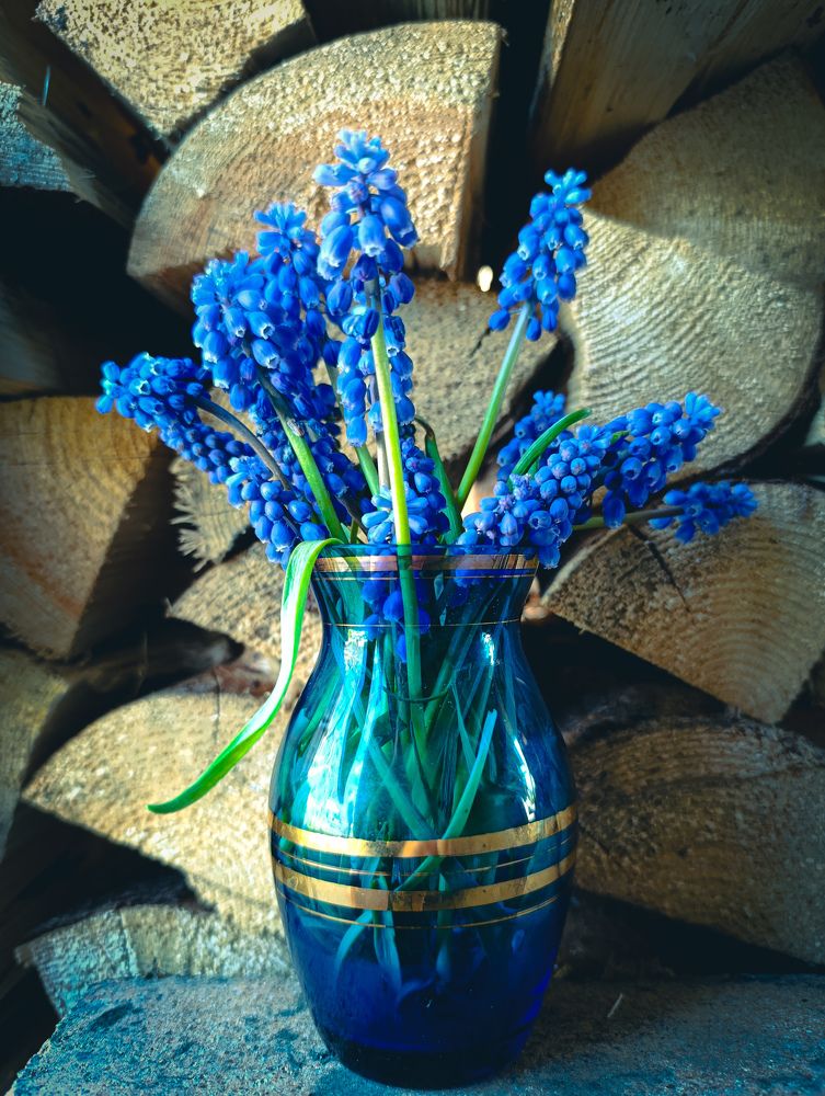 Photograph by Юлия Смирнова