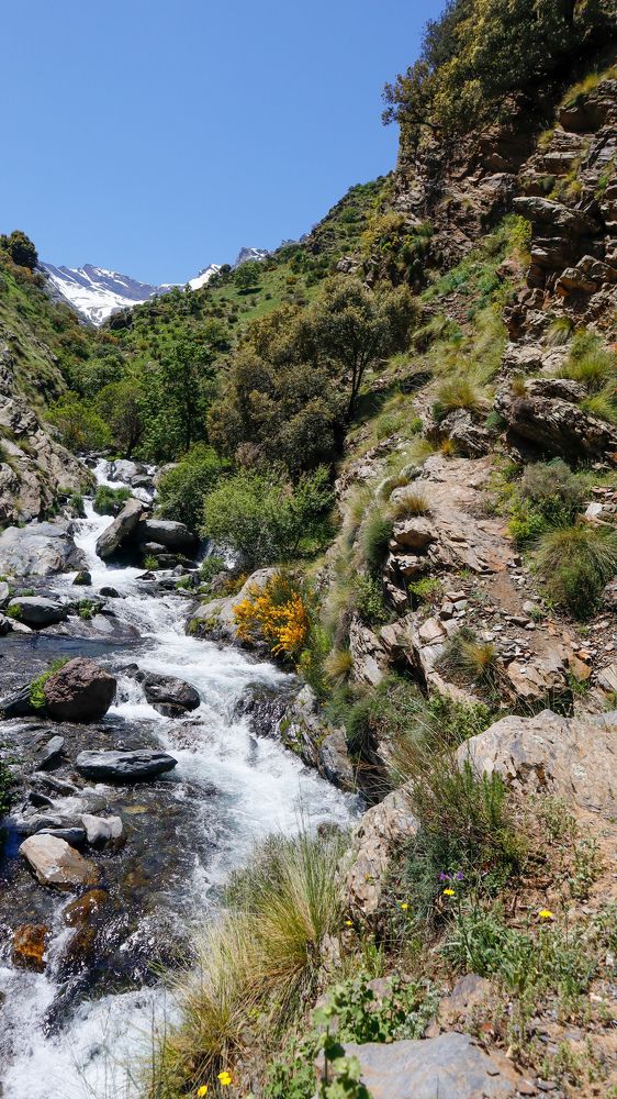 Vereda De La Estrella