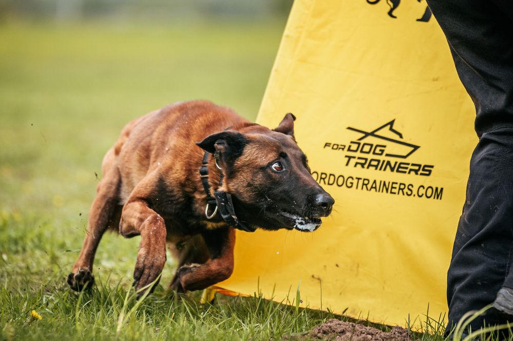 Photograph by Елена Вьюркова