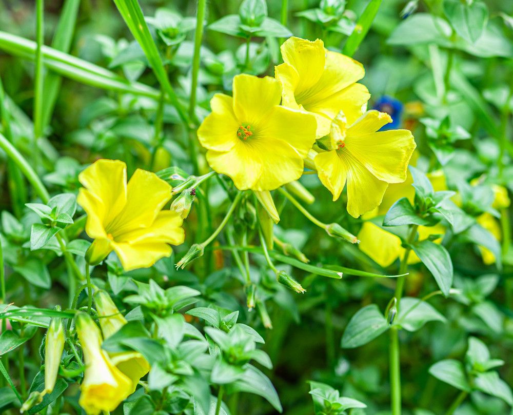 Фотография автора DIMITRIS MPAZIOTOPOULOS