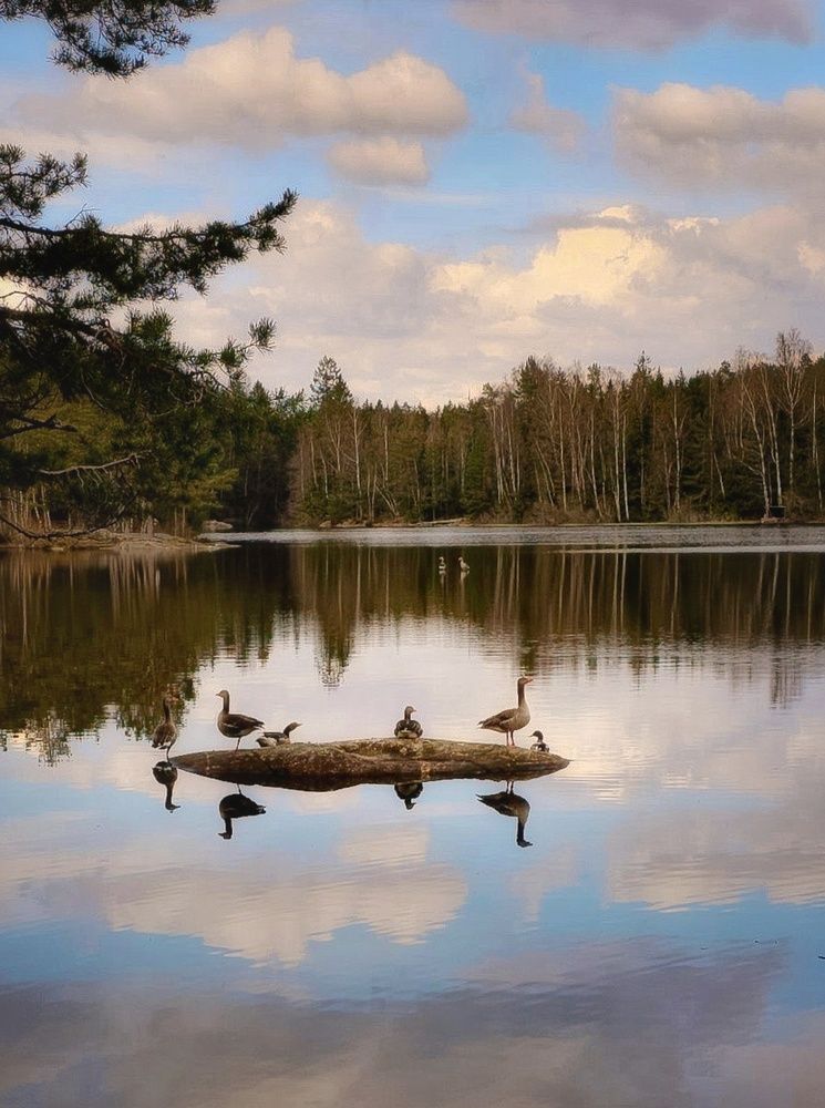 Фотография автора Alina Filimonova