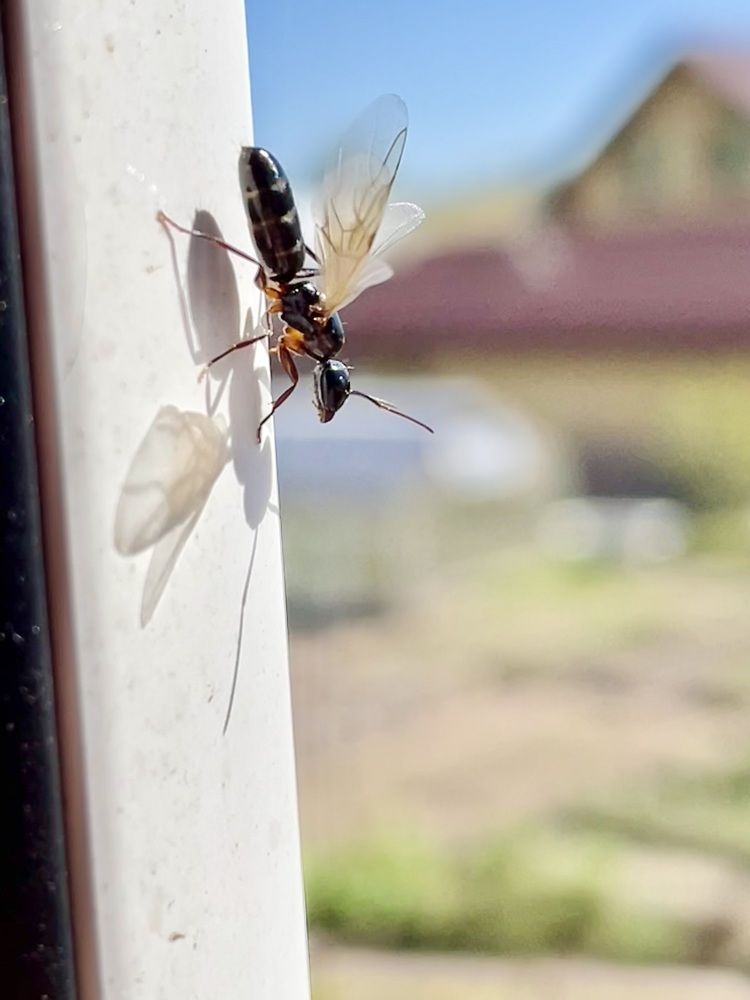 Photograph by Олег Китаев