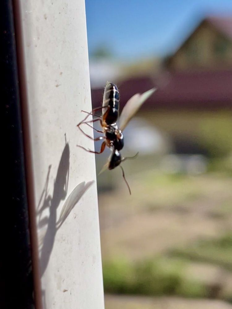 Photograph by Олег Китаев