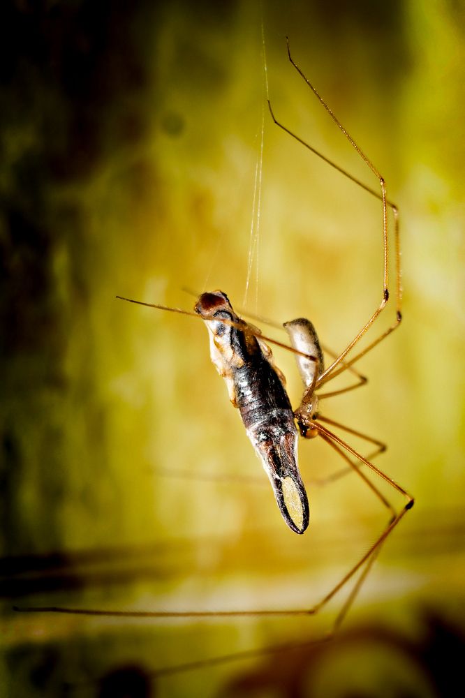 Photograph by Anastasia Sokolskya