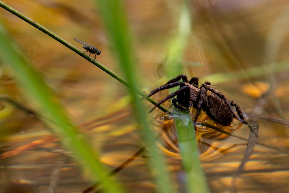 Photograph by stefanini alexis