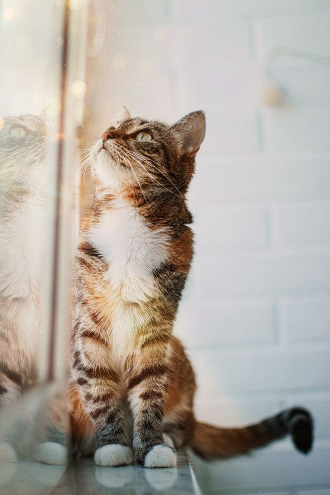 Photograph by Ольга Ажакина