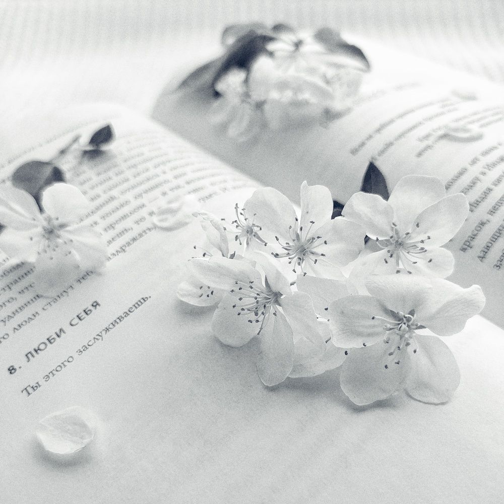 Photograph by Дина Желанова