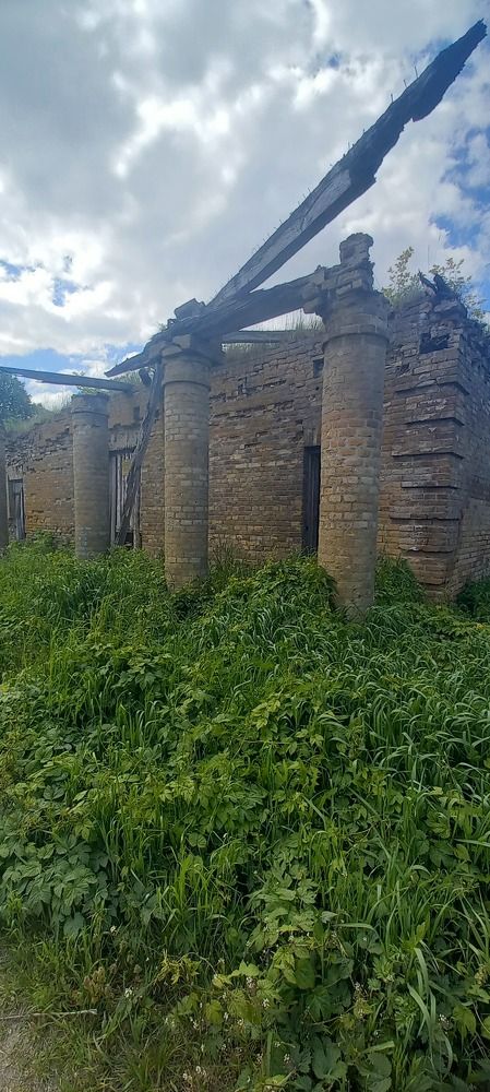 Фотография автора Марина Новикова