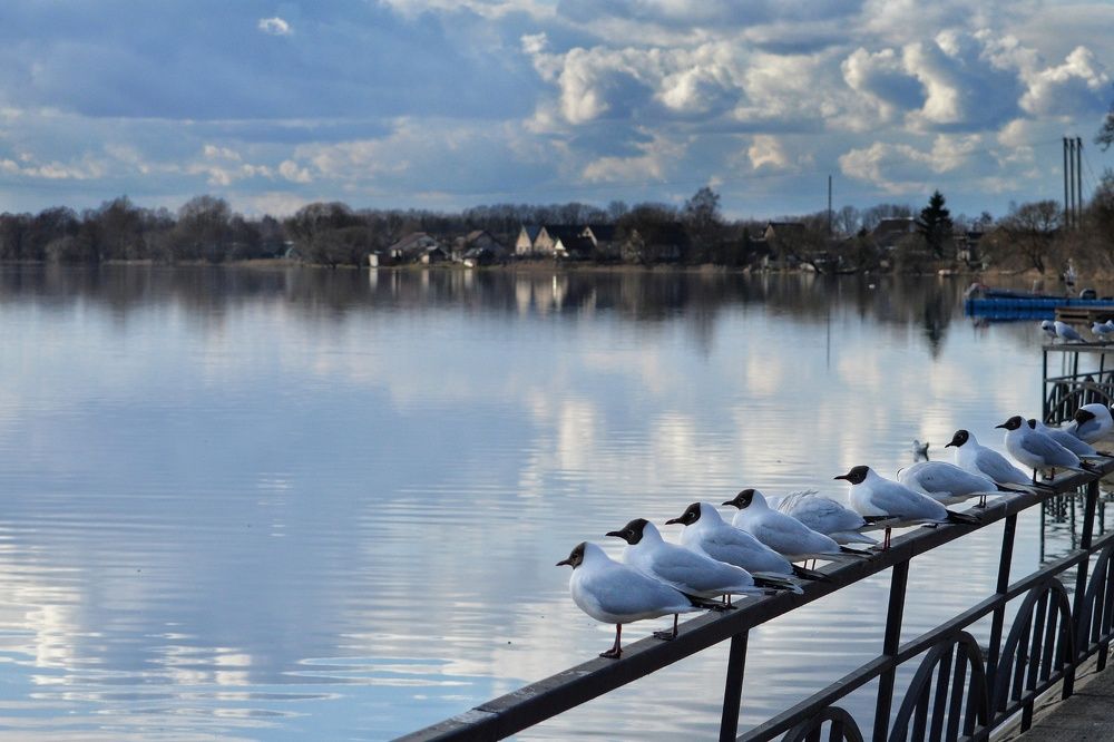 Photograph by Анна Зорька