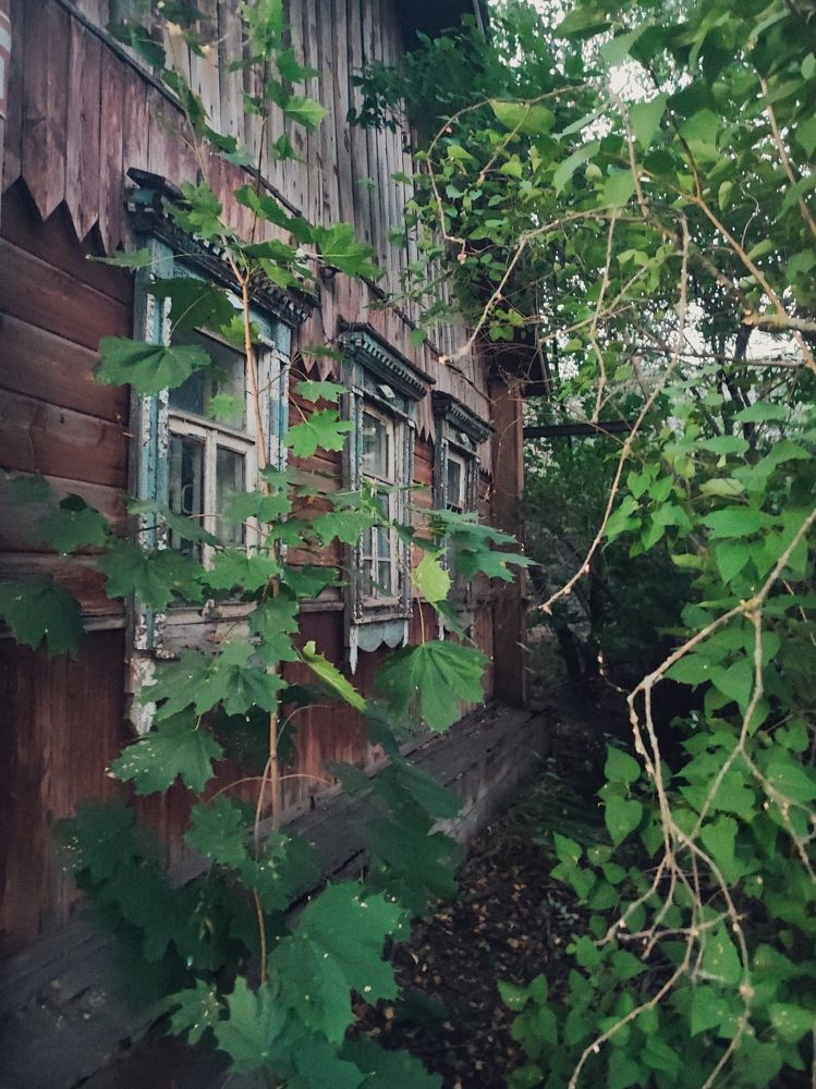 Фотография автора Ольга Савочкина