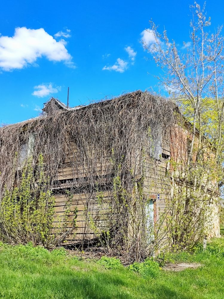 Фотография автора Ольга Савочкина