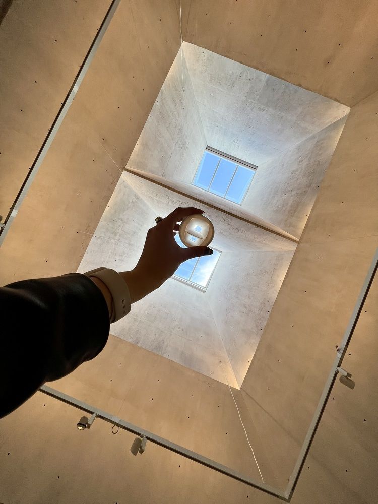 Photograph by Elvira