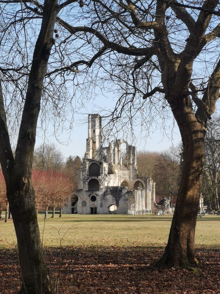 Photograph by Александра Шилова