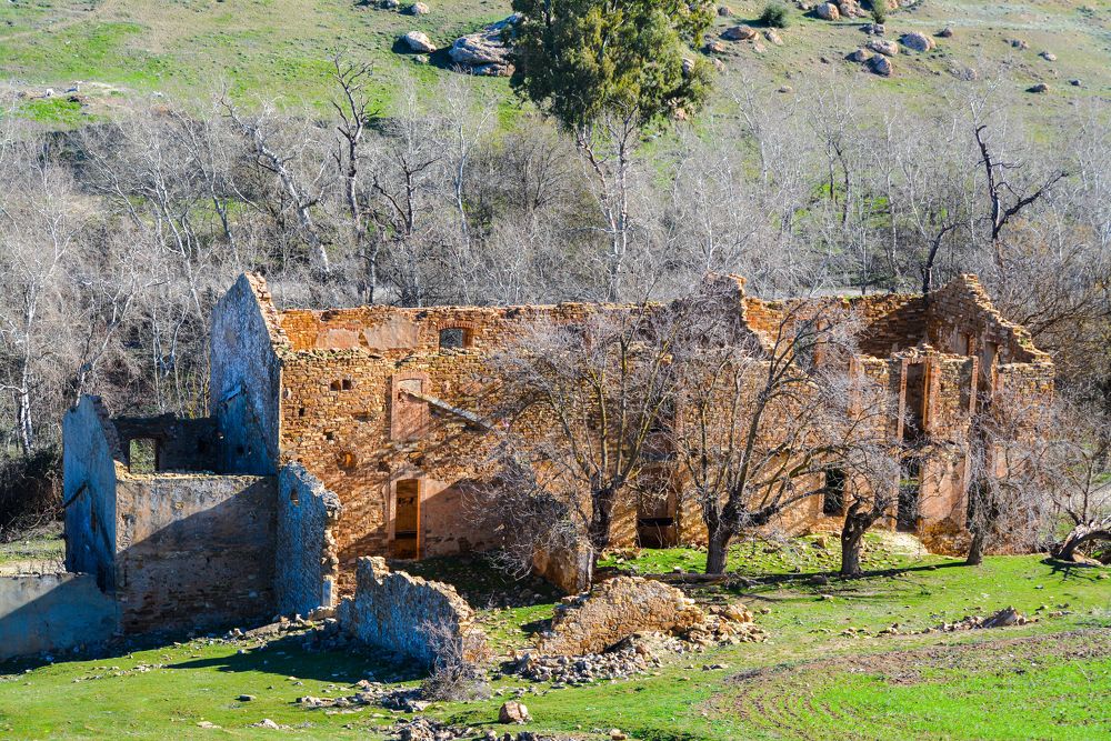 Photograph by Bachir Rabouh