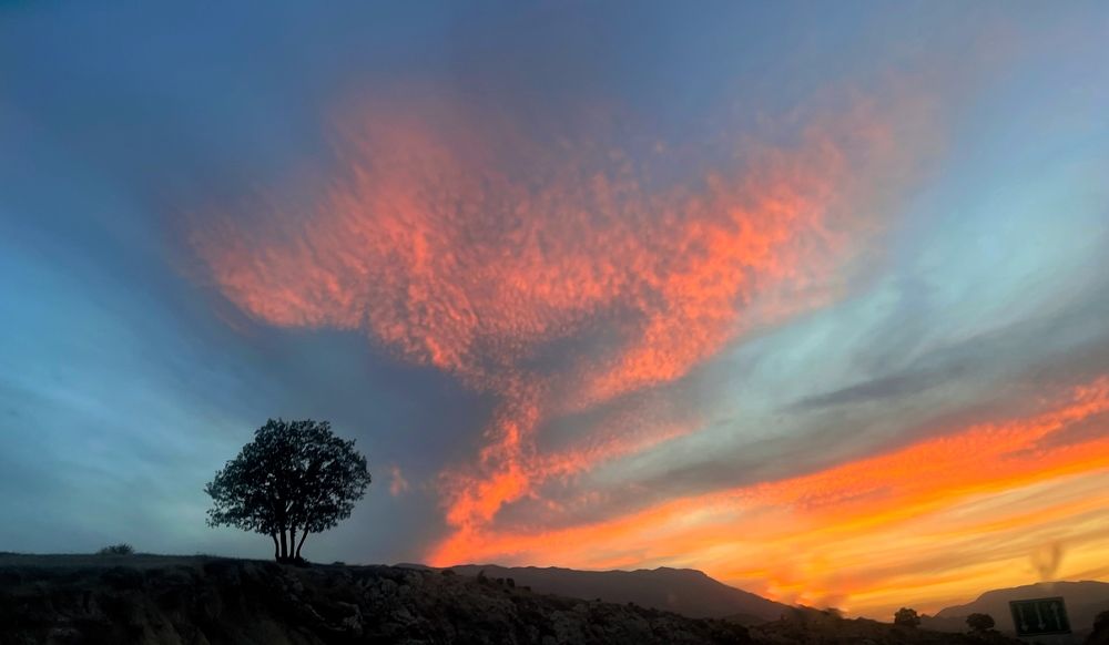 Photograph by amin Sharafiani