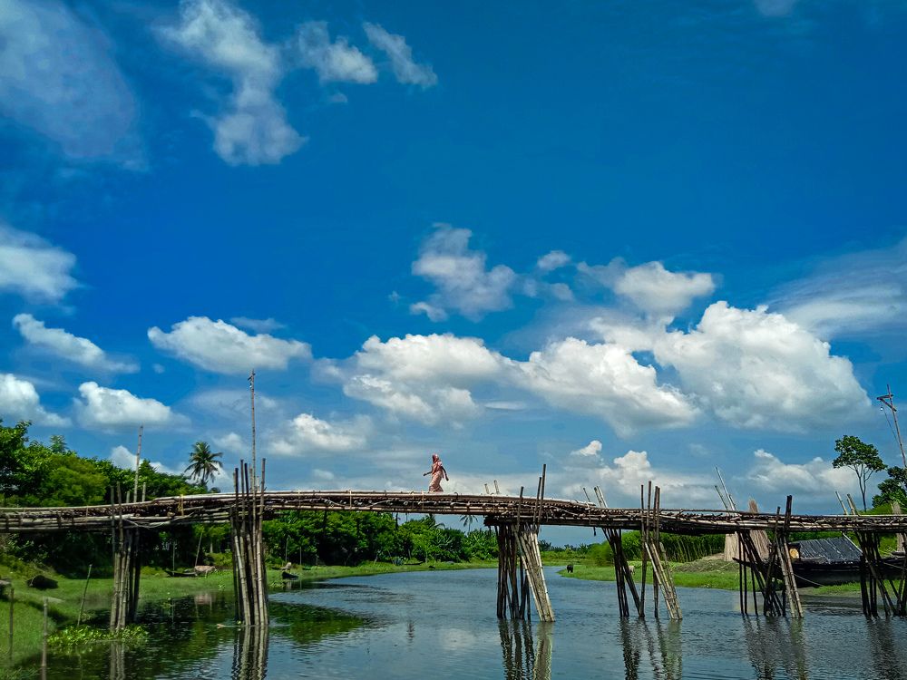 Photo #10614062