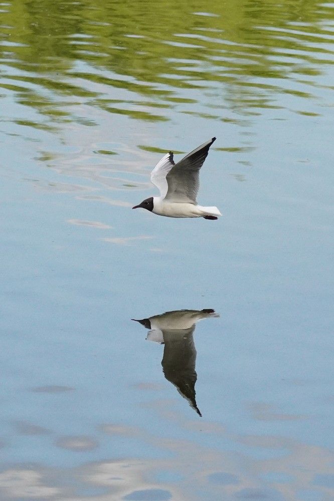 Photograph by Алфия Бугакова