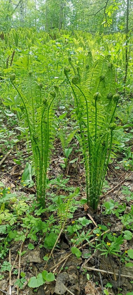 Photograph by Светлана